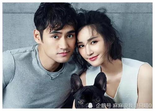 娱乐明星吃瓜小分队